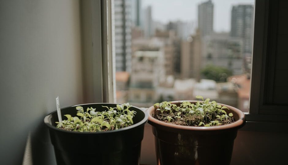 The Evolution of Urban Gardening: How City Dwellers Are Greening Their Spaces in 2026