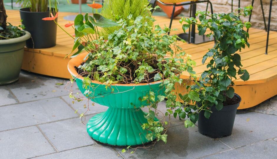 The Green Thumb Reboot: Urban Gardening for Men in 2026